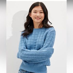 AE Blue Waffle Crewneck Sweater